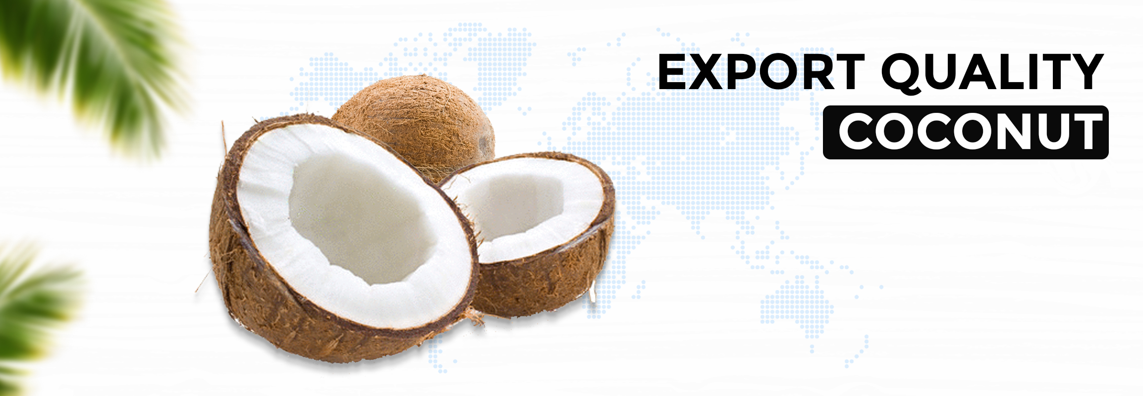 Top Coconut Exporters in Alappuzha india